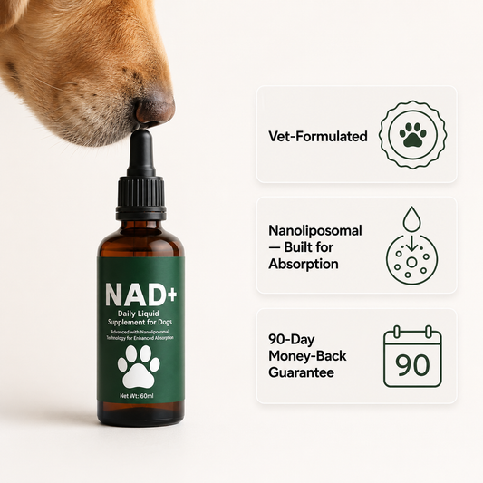Nad +